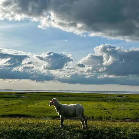 Aar Nordsee Appartement Varel Esterno foto