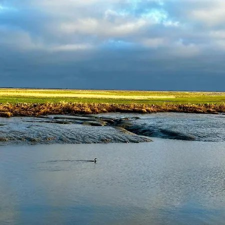 Aar Nordsee Appartement Varel Esterno foto